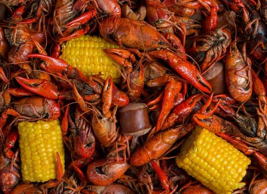 South Louisiana reputation management services